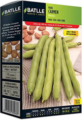 Samen Batlle – Haba Frühe Bohne Carmen, Lang 1 Kg