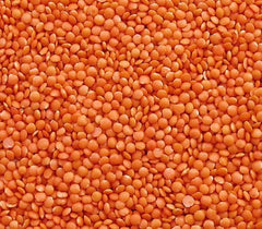Seba Garden Red Lentils 1kg - prémiová celá čočka z Kanady - Massor Dal, bez GMO, s vysokým obsahem bílkovin, s vysokým obsahem vlákniny - vše přírodní, veganské, bez lepku, ideální do polévek a kari