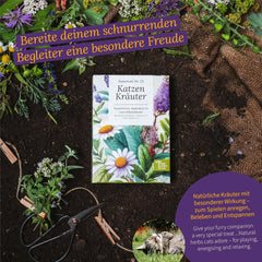 Magic Garden Seeds – bylinky pro kočky: Catnip, kozlík lékařský, šalvěj a catnip – Semínko se 4 rostlinami pro hru, okusování a relaxaci