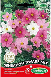 Košík na šperky, vícebarevný, EC1515