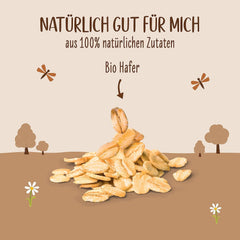 Allos Bio Haferdrink Barista | Milchalternative aus Hafer | Schaumbarer Drink auf Pflanzenbasis | Perfektní pro kávu Veganský nápoj bez laktózy | 1 litr (6 kusů)