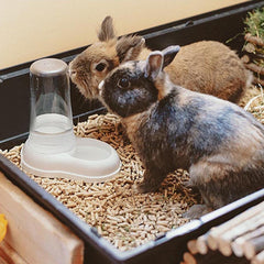 Ferplast Futter- oder Wasserspender für Hunde und Katzen AZIMUT 600 Futtertrog Voda 0,6 l, Rutschfester Boden, 12,5 x 19 x V 19,5 cm Modrá