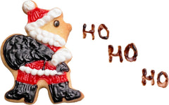 Set original de forme pentru biscuiți Kaiser de Crăciun, 11 piese, cu cutie de depozitare, forme pentru biscuiți, forme pentru biscuiți, pentru decuparea biscuiților/biscuiților/fondantului, 23,4 x 12,5 x 7,1 cm