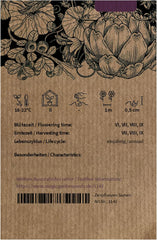 Äthiopische Eierfrucht (Solanum Aethiopicum) 20 Samen Afrikanische Sorte