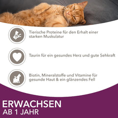 IAMS Delights Land & Sea Collection Hrană umedă pentru pisici - Pachet multiplu cu sortimente de carne și pește în sos, hrană umedă pentru pisici de la 1 an, 12 x 85 g