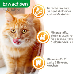 IAMS Delights Hrană umedă pentru pisici cu vită suculentă și morcovi în jeleu - Hrană umedă completă pentru pisici adulte, 24 pliculețe x 85g