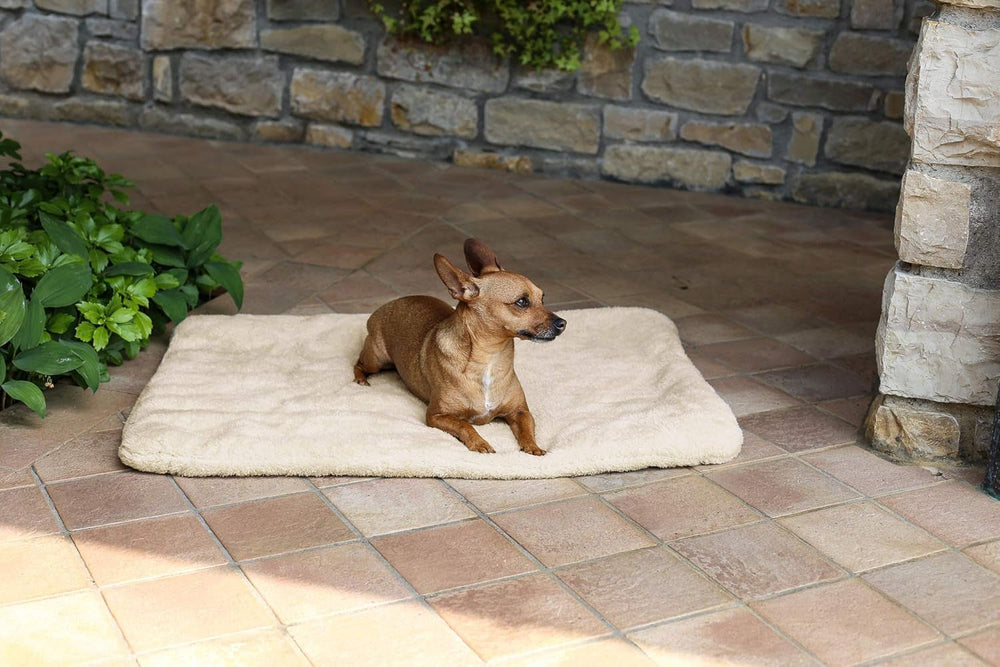 Sogni E Capricci Super Soft Mat, Smetana, 104X75CM, Polyester, Peřiny a přikrývky Naty Shop Cream 104X75cm