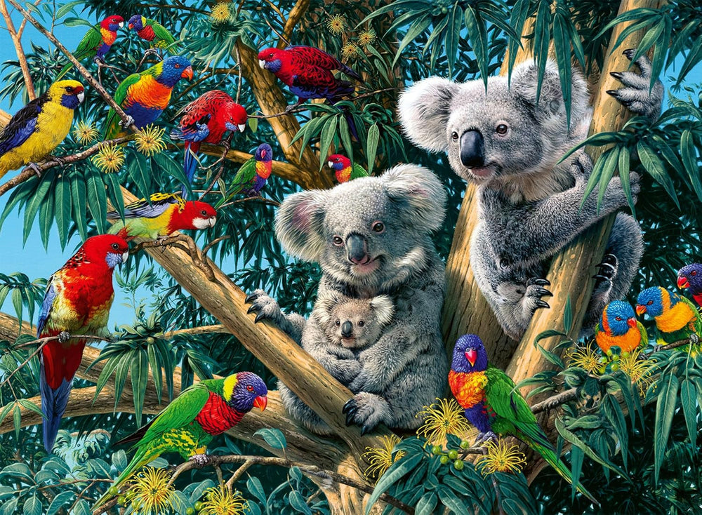 Ravensburger Puzzle 12000206 - Koalas într-un copac - Puzzle de 500 de piese pentru adulți și copii de la 10 ani, puzzle cu motiv animalier Puzzle Naty Shop Design nou