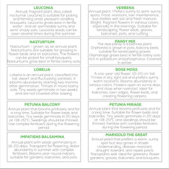 Sada květinových semínek Nojus - 10 odrůd květinových semen - Balkonová semena květin - Semena barevných rostlin - 10 balení - Semena divokých květin - Sáčky se semeny květin - Ideální dárek se semeny květin