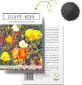 Směs islandského máku (Papaver nudicaule) - Krásně kvetoucí mák s dlouhou dobou květu pro barevnou květinovou louku (Island Poppy)