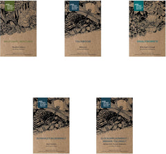 Legendární rostliny přesličky – set semen s 5 kouzelnými rostlinami