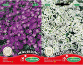 Blaukissen, Mehrfarbig, EC1505 & Steinkraut Alyssum, Mehrfarbig, EC1501
