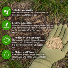 Allzweck-Rasensamen Schnellkeimend – Strapazierfähige, Schnellwachsende Garten-, Spiel- Und Sportrasensamen, Trockenresistent, Ideal Als Neu-Rasensaat Oder Als Reparatur-Rasennachsaat