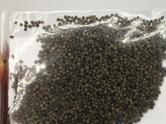 1000 kalifornských máků (Eschscholzia californica), divoká louka, včelí pastviny.