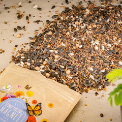 100 g motýlích semínek pro pestrobarevnou květinovou louku – směs se semeny divokých květin pro motýly bohatá na nektar