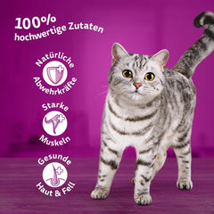 Hrană umedă Whiskas 1+ pentru pisici cu pui în jeleu, 28x85g (1 pachet) – Hrană umedă de înaltă calitate pentru pisici adulte în pliculețe cu 28 de porții