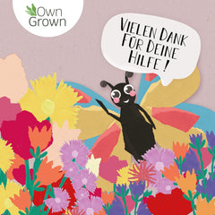 Butterfly Meeting Flower Mix: 100 g Premium Butterfly Flower Seeds – Semena včel šetrných k hmyzu, Semena trvalek a jednoletých květin na louky – Semena divokých květin z OwnGrown