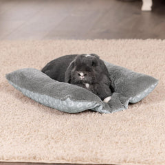 Paturi, cuverturi & mobilier, animale de companie, pisici, paturi pisici, Pisici - culcusuri, saltele