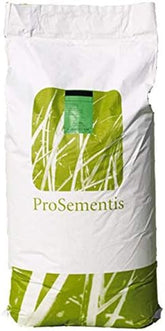 Rasensamen Fairway Nachsaat PS-29 3Kg I Tiefschnittverträgliches Golfrasen Saatgut I Schnellkeimender Nachsaatrasen