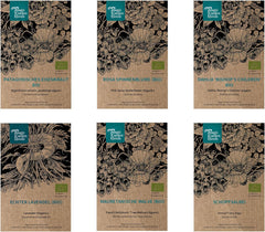 Naše oblíbené rostliny: Trvalky a letní květiny pro milovníky květin (organické) - Dárková sada semínek se 6 krásnými odrůdami pro divokou květinovou explozi - udělá vám radost!