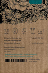 Sedmikráska modrá (Brachyscome iberidifolia) cca. 500 semen ročního balkónového květu, dlouho kvetoucí květináč, letní květina