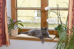 Pături & Mobilier, Animale de companie, Pisici, Paturi pentru pisici, Covorase pentru zgarieturi, Pisici - culcusuri, saltele