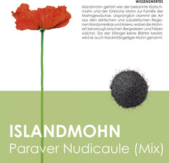 Směs islandského máku (Papaver nudicaule) - Krásně kvetoucí mák s dlouhou dobou květu pro barevnou květinovou louku (Island Poppy)