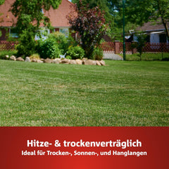 Wolf-Garten Trocken-Rasen PREMIUM L-TP 100 (Für 100 M², Hohe Dichte Mit Ca. 70.000 Trieben/M2, Sehr Gute Hitze- Und Trockenverträglichkeit, Widerstandsfähig Gegen Frost, 3 Kg Faltschachtel) 3824641