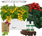 Nový 7 most + Heirloom Basil | Chytrá zahrada pro domácí kuchaře | Hydroponický pěstební systém | LED růstová světla | Sada pro pokojové bylinkové zahradnictví pro milovníky rostlin a zahradníky, bílá