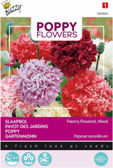 Květy máku Buzzy Mac Paeoniflorum Gef. Směs.