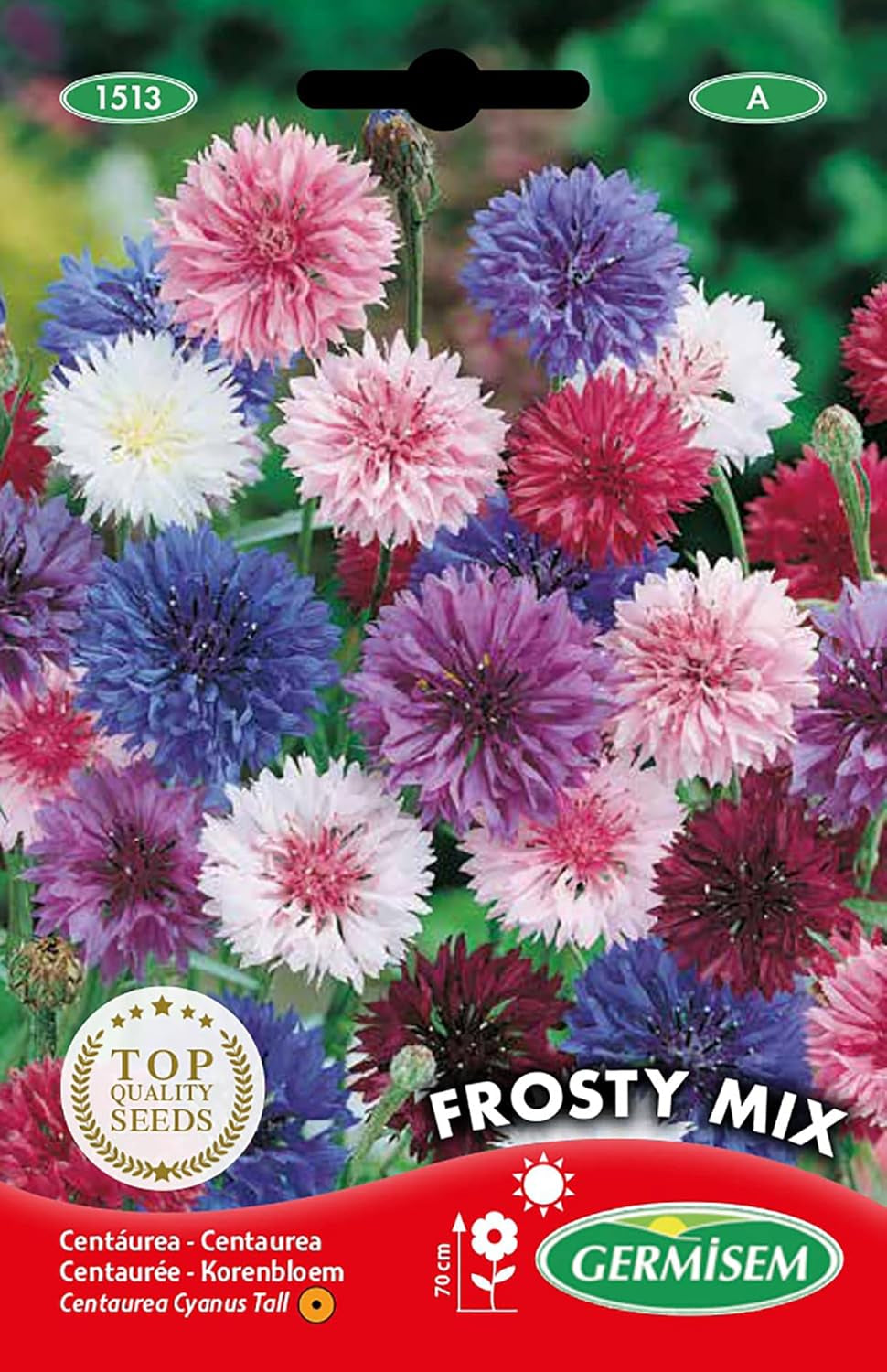 Flower-de-Curțum FROSTY MIX EC1513 vícebarevný