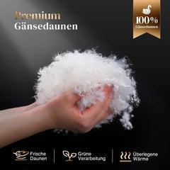 135X200 Celoroční přikrývka 100% bavlna Přikrývka z husího peří Přikrývka z tlustého peří Bez živého plyše Extra nadýchaná Přechodová přikrývka 3D Baffle Box Jednolůžko Bílé Přikrývky a přikrývky Naty Shop