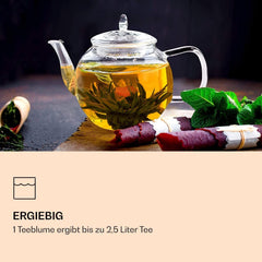 Feelino Cutie mixtă elegantă cu 6 bucăți - Flori de ceai Feelino White într-o cutie superbă de degustare și cadou cu 6 trandafiri de ceai alb diferiți, ambalați individual în vid, pachet cu 1 bucată