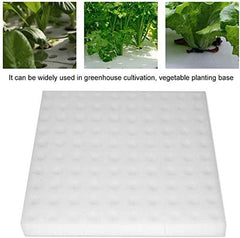 Hydroponická houba, 100 ks hydroponických houbiček pro pěstování semen, zahradnické nářadí pro malé pupeny nebo sazenice