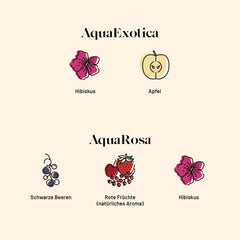 Kusmi Tea - pachet de 2 - Aquaexotica + Aquarosa - ceai de hibiscus cu mere, măceșe și fructe de pădure negre - ceai de fructe organic fără teină - se poate consuma cald sau rece - 2X20 pliculețe de ceai