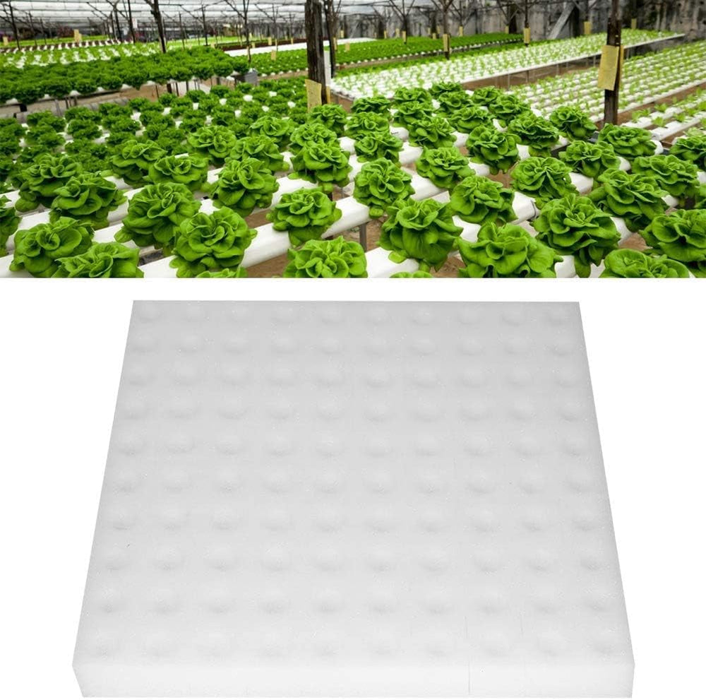 Burete hidroponic, 100 buc bureți hidroponici pentru creșterea semințelor, instrument de grădinărit pentru plante sau răsaduri cu muguri mici