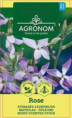 AGRONOM | Dvojrohá růže | Semena květin | Semínka růže | Jednoletá rostlina, nenáročná na pěstování | 1 balení