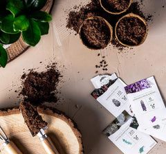 10 bonsajových semínek z 5 kontinentů | Semena exotických stromů pro vaši jedinečnou bonsai | Starter Kit a rostlinné nadšence | Naše sada bonsají jako tip na speciální dárek