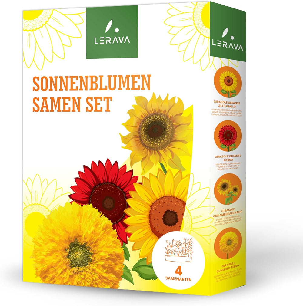 LERAVA® Sonnenblumen Samen Set (4 druhy) - Riesige gelbe & rote Sonnenblume - Zwerg und Sungold Teddy - Premium Sonnenblumensamen für Garten und Balkon - Blumensamen Geschenk für Hobbygärtner