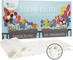 Amestec colorat de flori de balcon - 2 covorașe premium pentru semințe de flori de balcon, ușor de cultivat, flori de vară și semințe de flori sălbatice de la OwnGrown, semințe anuale prietenoase cu insectele