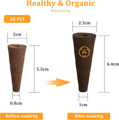 50 hydroponických houbiček, hydroponických houbiček, houbiček na pěstování kořenů, vhodných pro různé druhy pupenů, jako jsou rajčata, jahody, máta