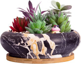 Ghivece mari pentru plante suculente cu farfurioare din bambus, jardiniere ceramice pentru cactus de 18,5 cm, ghivece rotunde pentru flori, recipiente pentru bonsai pentru grădină, birou, decorare birou