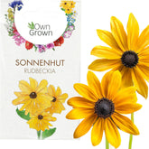 Semena echinacey: Prémiová semínka žluté echinacey pro asi 20 kvetoucích rostlin echinacey – Semena rudbeckie – Hardy Rudbeckia – Trvalky Echinacea – Hardy trvalky od OwnGrown