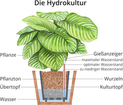 Sadební hlína Dehner, 10 l, zrnitost 4/8 mm, univerzální velikost
