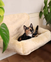 Paturi, cuverturi & mobilier, animale de companie, pisici, paturi pisici, Pisici - culcusuri, saltele