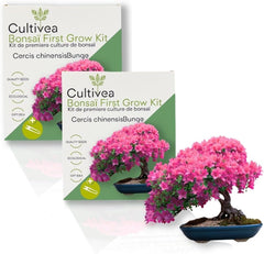 CULTIVEA 2 X First Bonsai-Set - Bonsai-Set Für Die Erste Kultur – Fertig Zum Wachsen Mit Samen & Zubehör – Geschenkidee Für Gartenarbeit | Made in France (Cercis Chinensis)
