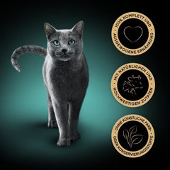 Hrană umedă pentru pisici Sheba Sauce Collection, în pliculețe porționate, pachet multiplu cu compoziție sărată, 4x12x85g