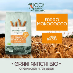 Bio těstoviny Penne Rigate N.91 - 500g Nízkotučné pšeničné těstoviny - zdroj vlákniny a bílkovin