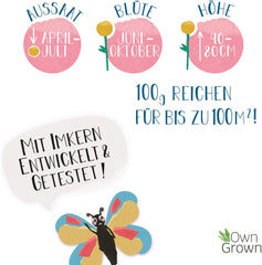 Butterfly Meeting Flower Mix: 100 g Premium Butterfly Flower Seeds – Semena včel šetrných k hmyzu, Semena trvalek a jednoletých květin na louky – Semena divokých květin z OwnGrown