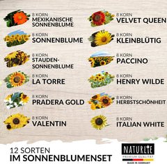 12Er Sonnenblumen Samen Set - 12 Schöne Sorten Premium Sonnenblumensamen - Blumen Saatgut Für Bienen - Super Garten Geschenk - Blumensamen Sommerblumen Anzuchtset Von